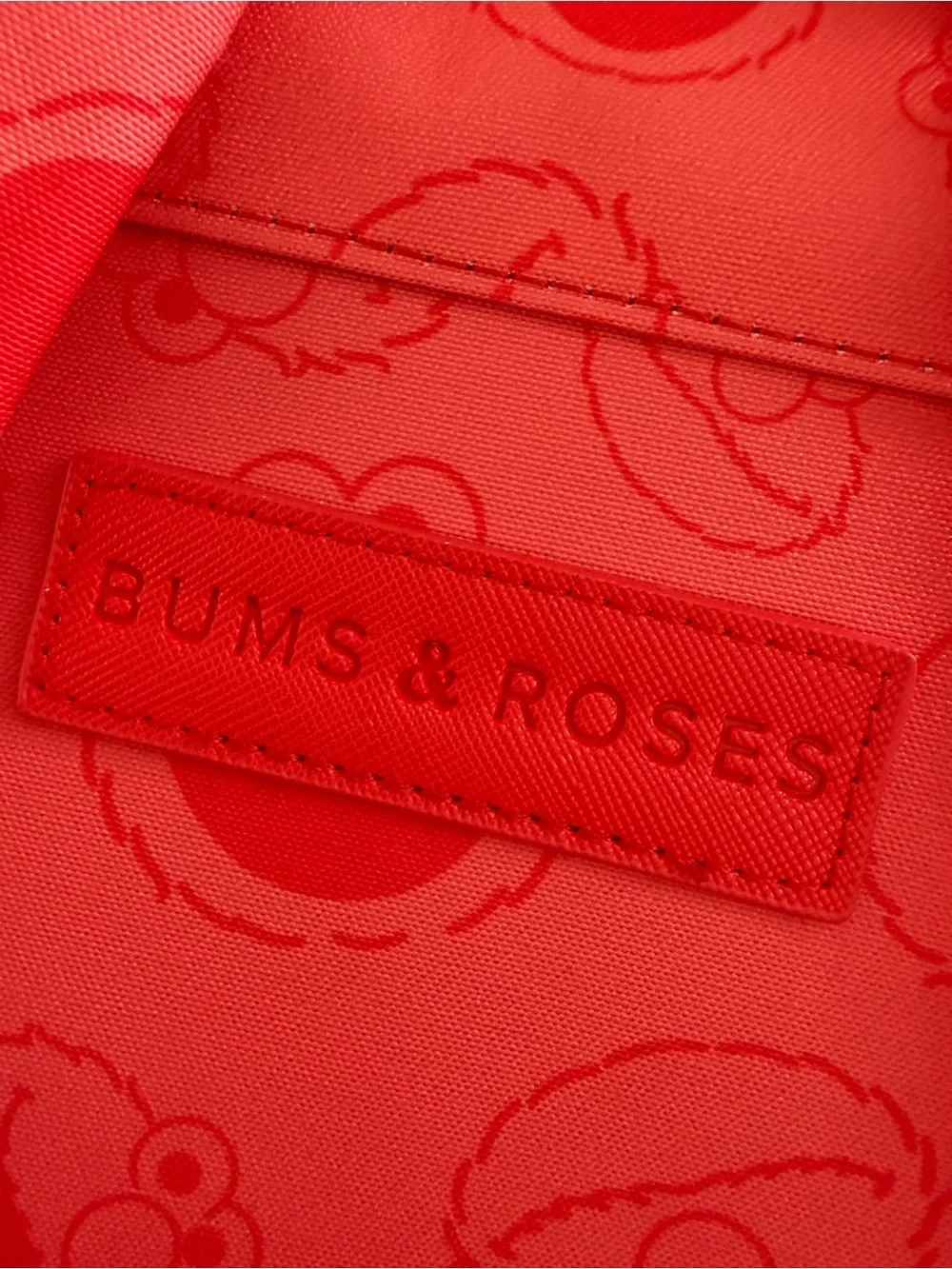 Bums & Roses / Sesame Street Elmo Kids Backpack / OS